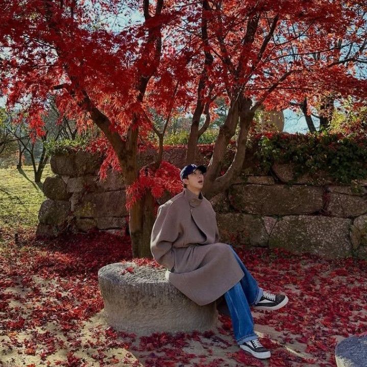 Behind-the-scenes cut of RM (BTS)