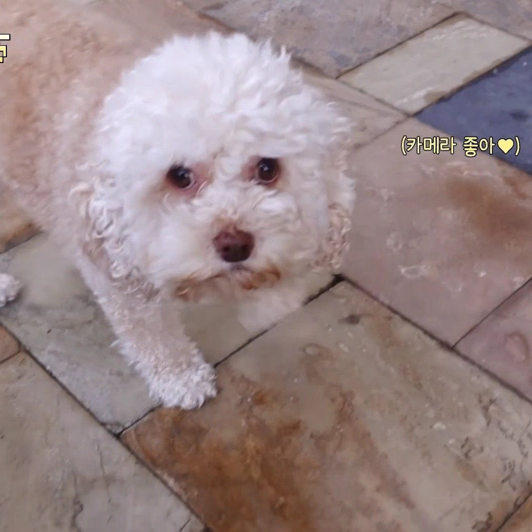 HANNI (NewJeans)的幕后花絮