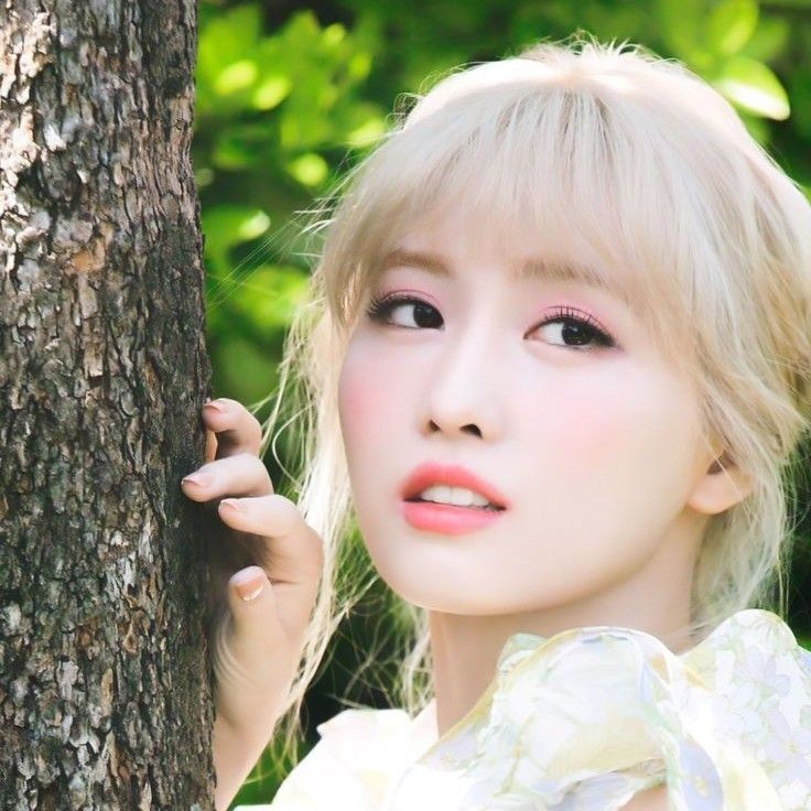 Latest photo of Momo (TWICE)
