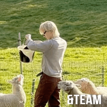 Behind-the-scenes cut of Nicholas (&TEAM)