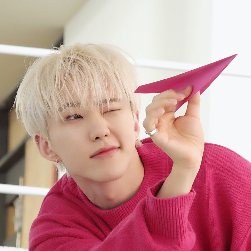 A moment captured by Hoshi (SEVENTEEN)'s fan