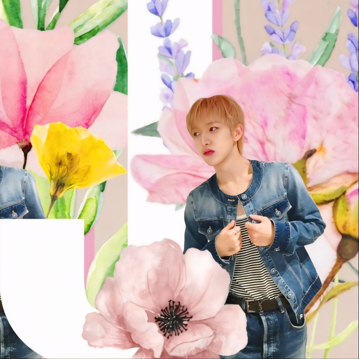 Latest photo of Renjun (NCT DREAM)