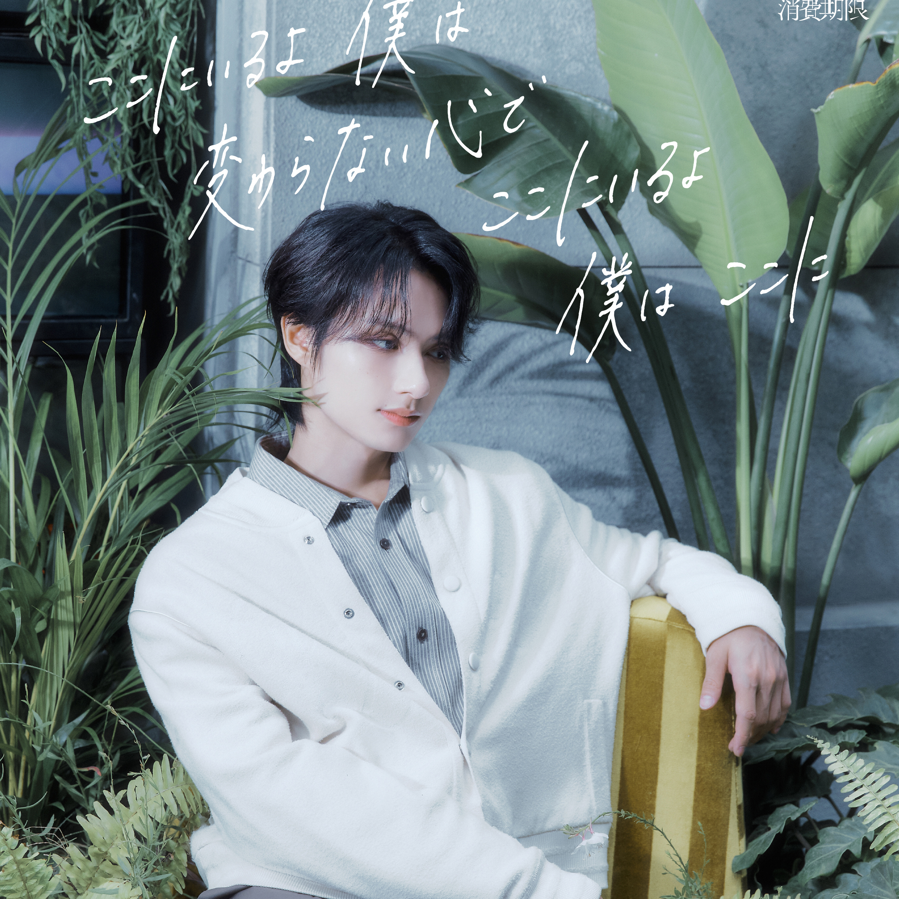 세븐틴 최근 활동샷