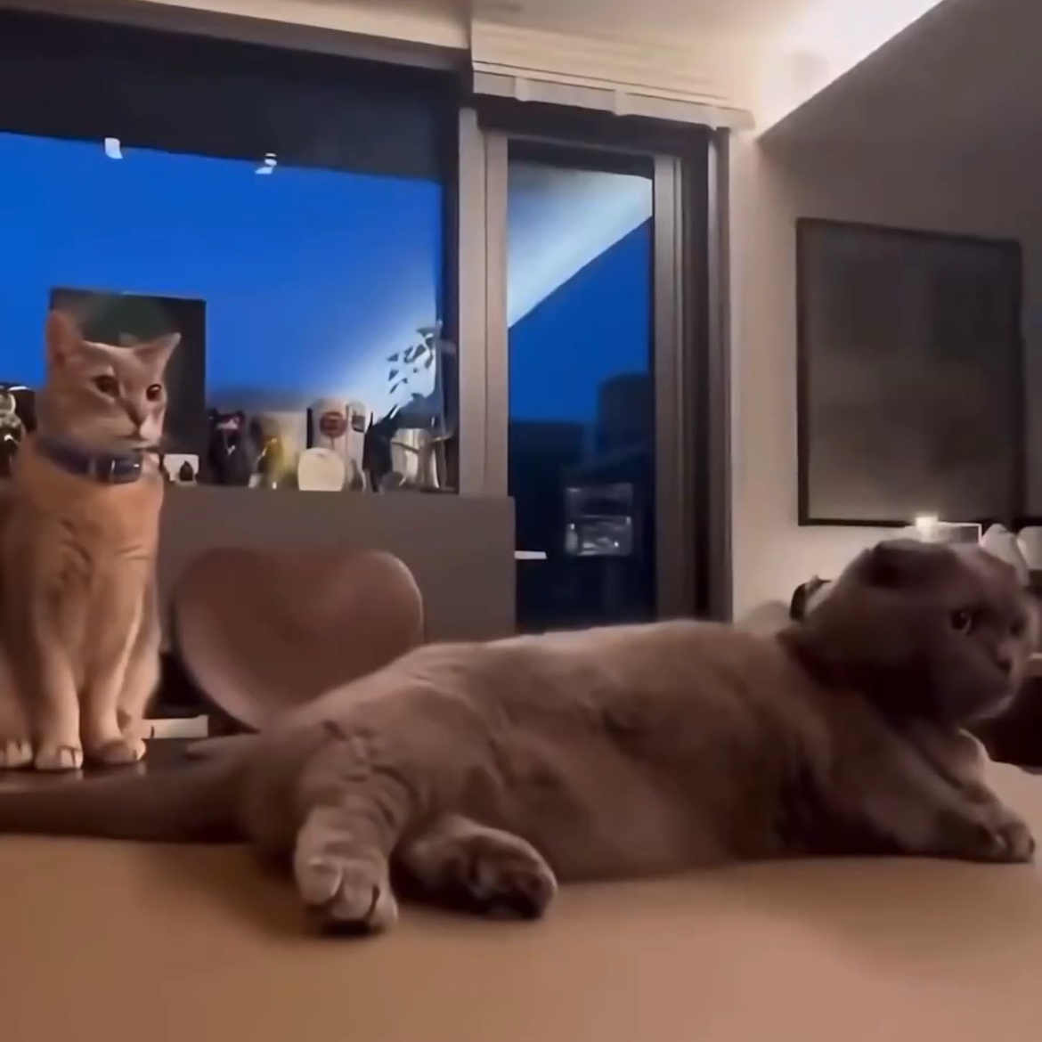 A moment captured by G-DRAGON (BIGBANG)'s fan