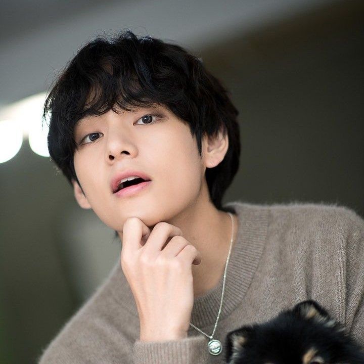 Momen yang diabadikan oleh penggemar V (BTS)