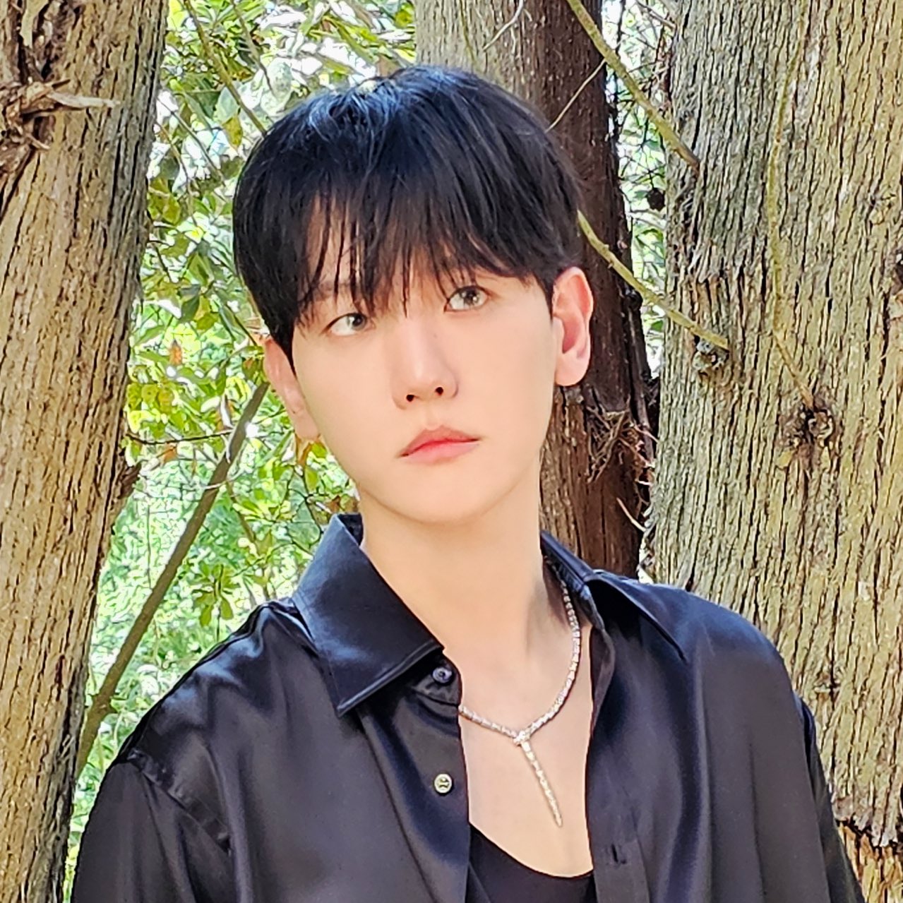 伯賢 (EXO)粉絲拍下的瞬間