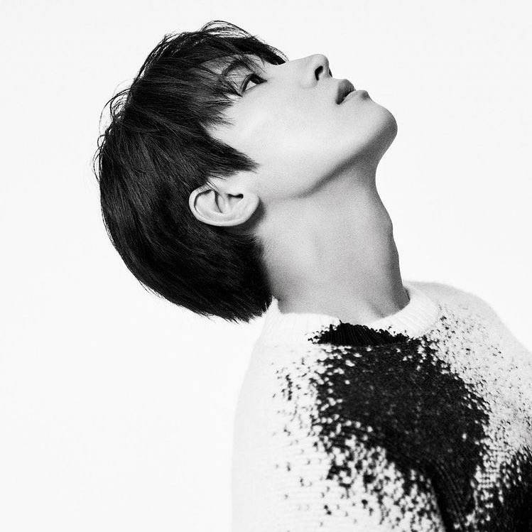 Recent activity shot of Wonwoo (SEVENTEEN)
