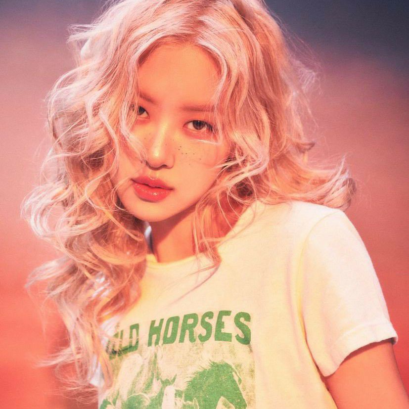 A moment captured by BLACKPINK's fan