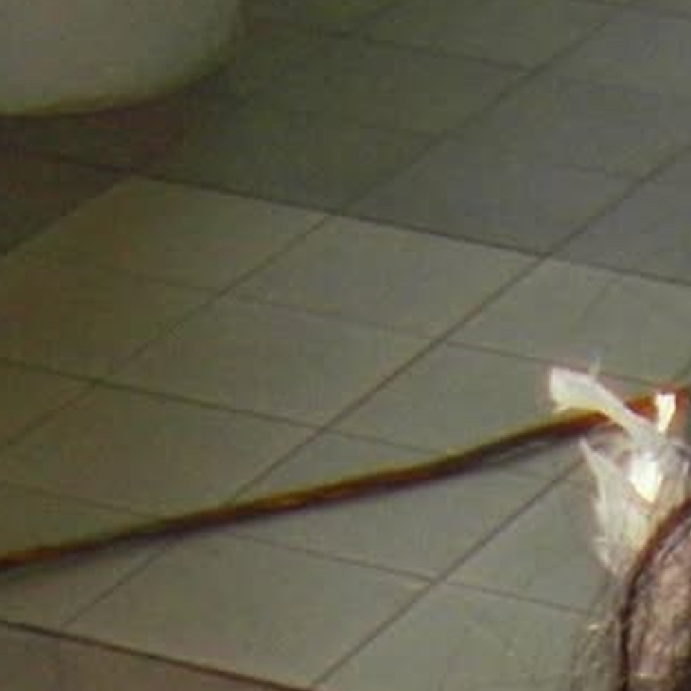 A moment captured by Choerry (ARTMS)'s fan