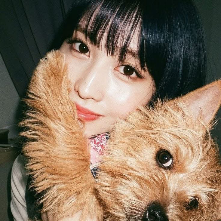 A moment captured by Momo (TWICE)'s fan