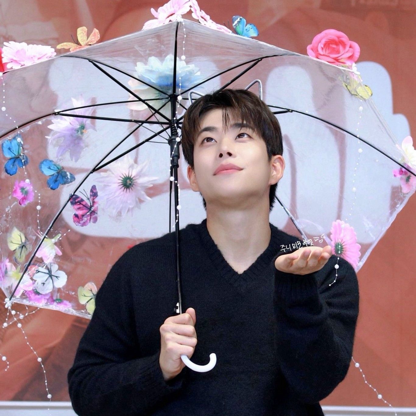 Behind-the-scenes cut of MJ (ASTRO)