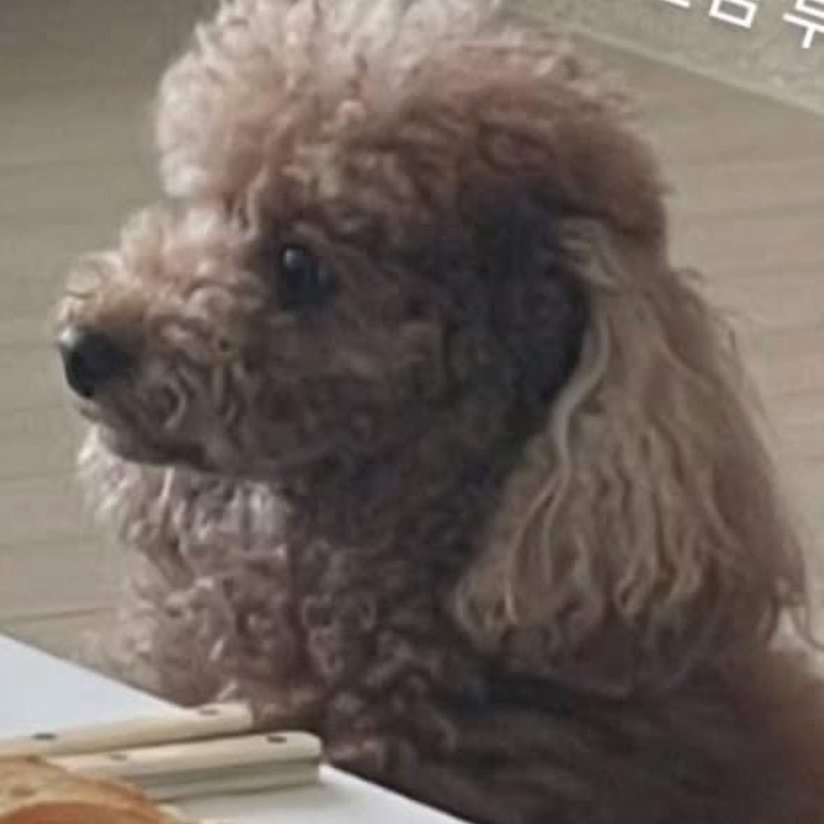 Behind-the-scenes cut of SUGA (BTS)