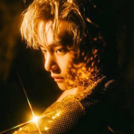 Behind-the-scenes cut of V (BTS)