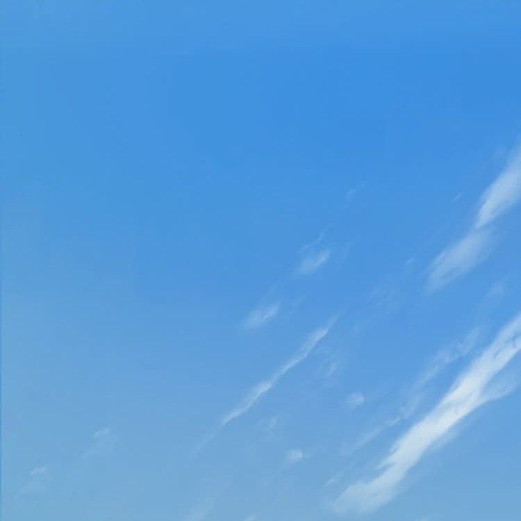 community_articles_contents