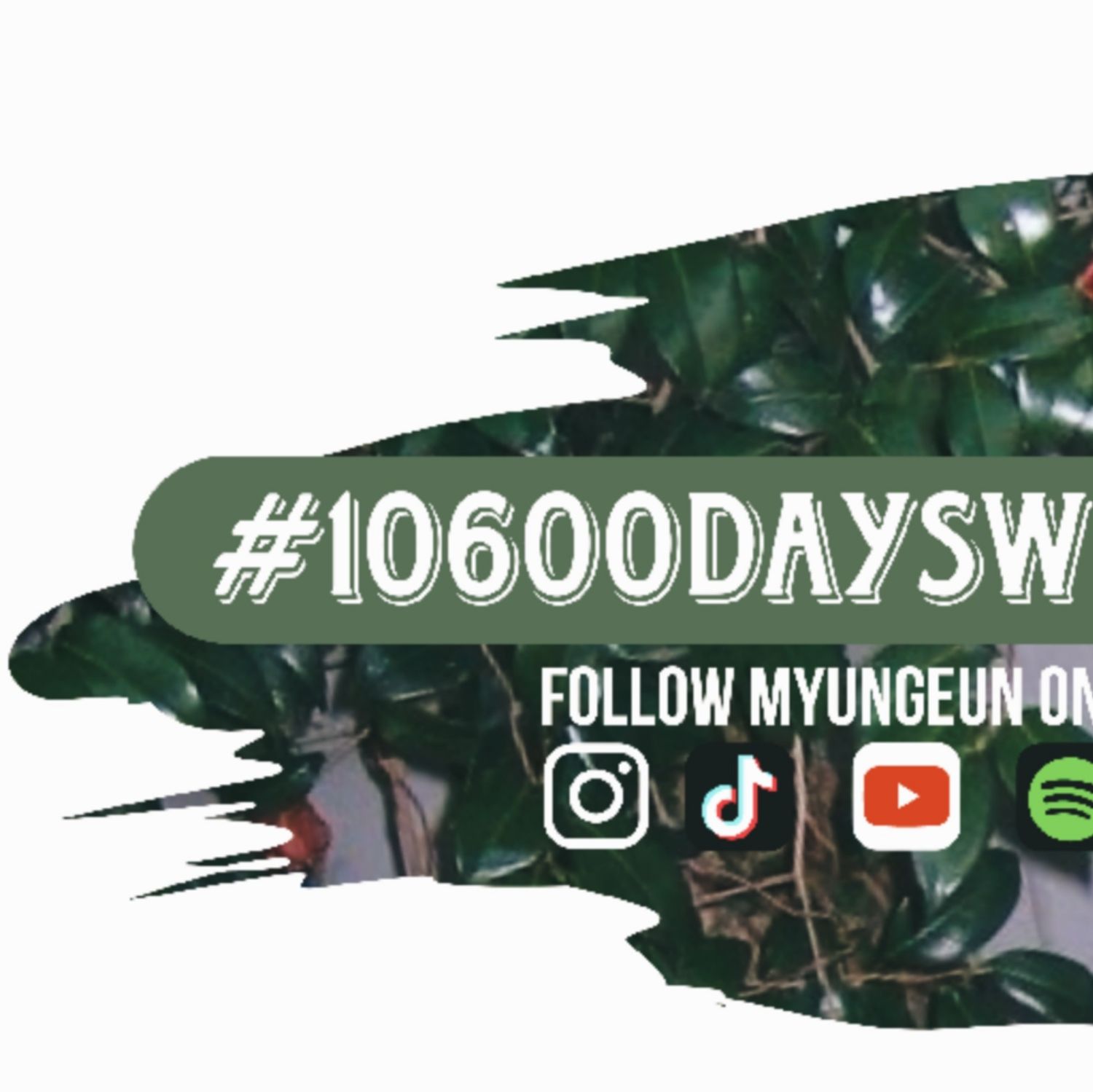 Recent activity shot of JIN (Lovelyz)