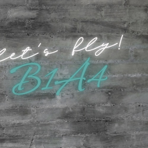 A moment captured by B1A4's fan