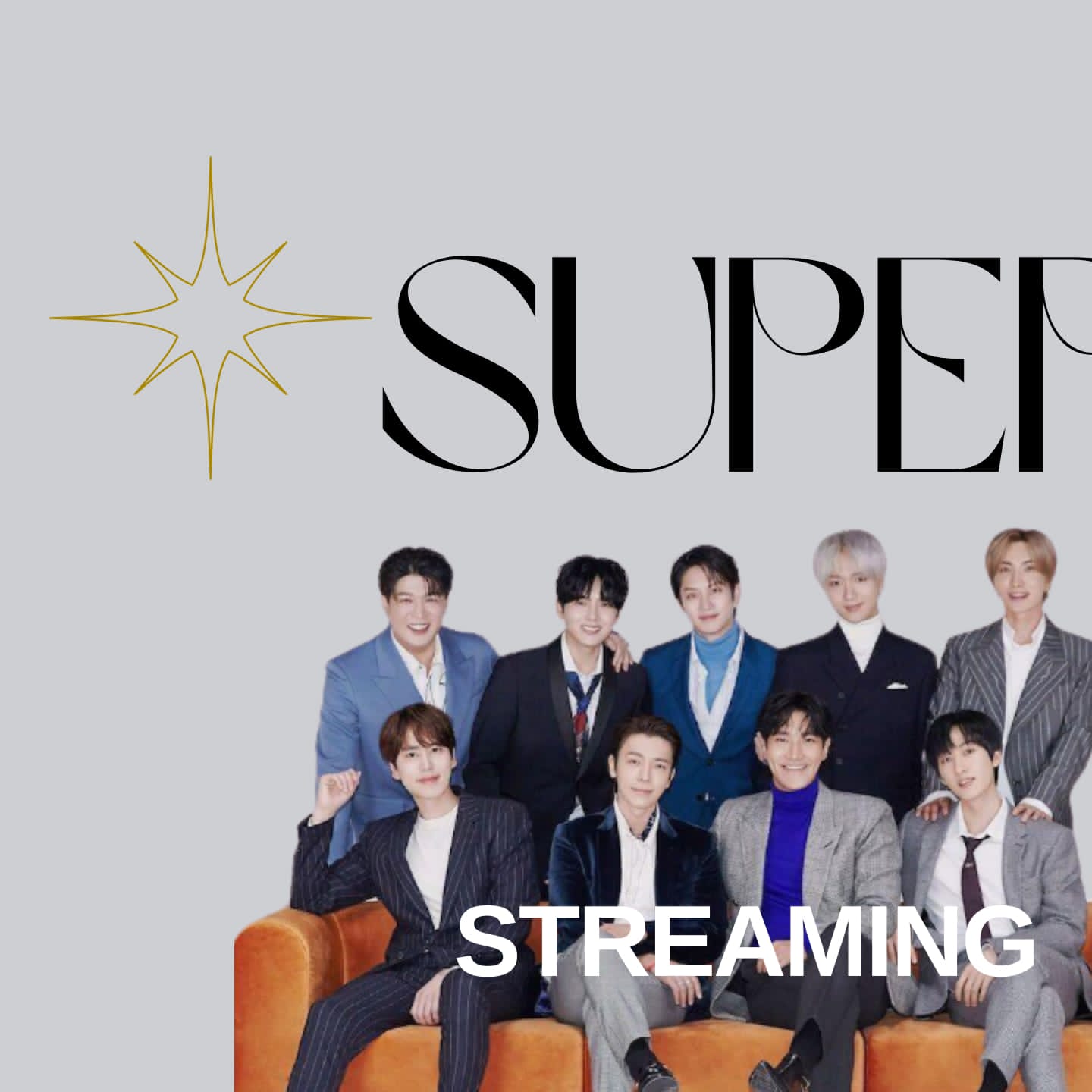 Recent activity shot of Super Junior