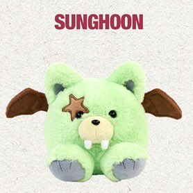 A moment captured by Sunghoon (ENHYPEN)'s fan