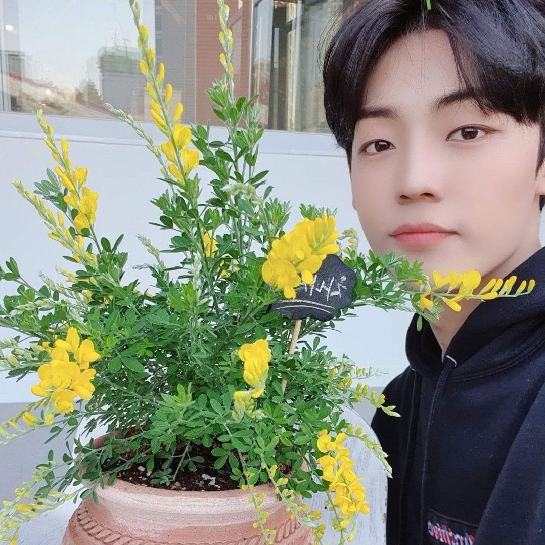 Recent activity shot of Chan (A.C.E)