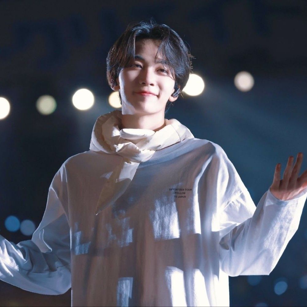 净汉 (SEVENTEEN)粉丝拍下的瞬间