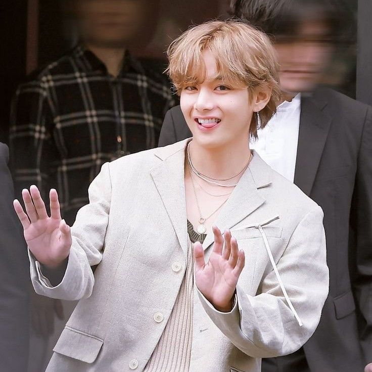 Behind-the-scenes cut of V (BTS)