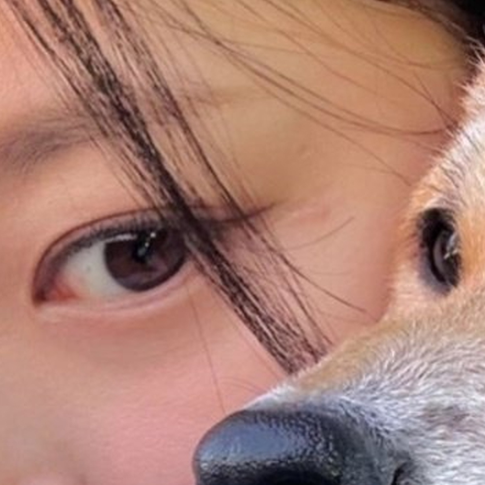 Recent activity shot of HyunJin (Loossemble)