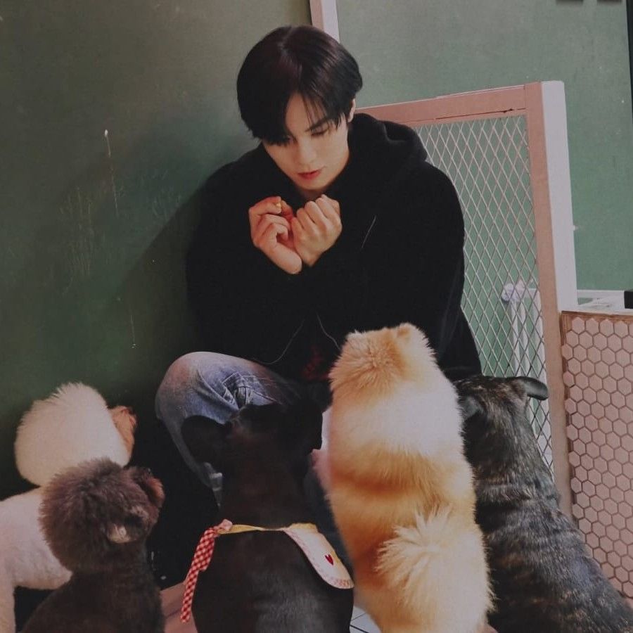 A moment captured by Rocky's fan