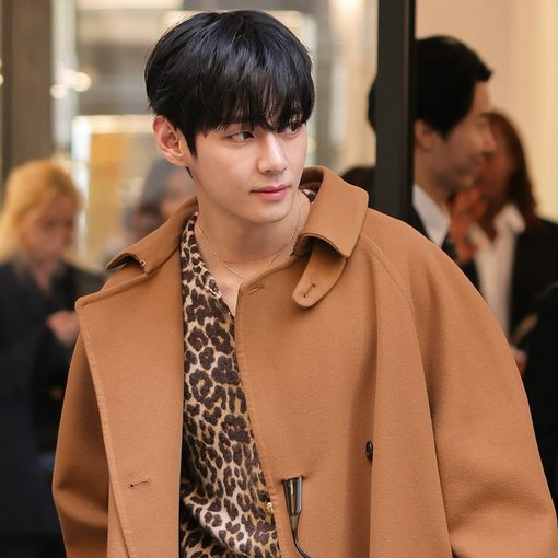 Behind-the-scenes cut of V (BTS)