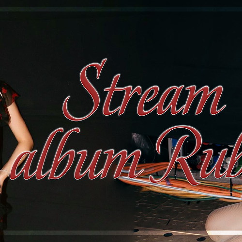 제니 (BLACKPINK) 팬이 찍은 순간