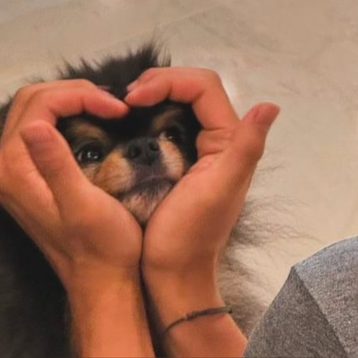 뷔 (방탄소년단) 최근 활동샷