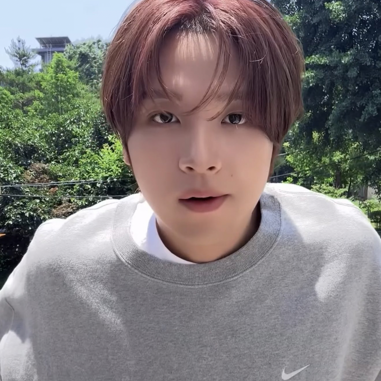 A moment captured by Haechan (NCT 127, NCT DREAM)'s fan