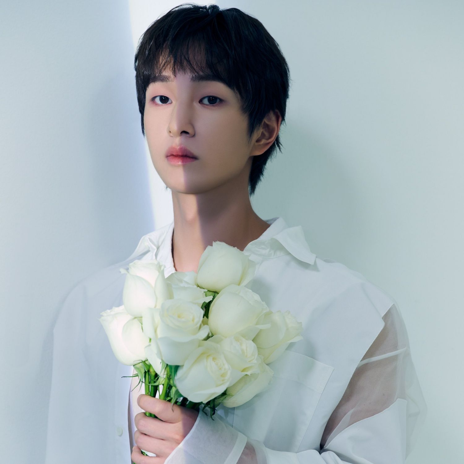 Recent activity shot of Onew (SHINee)