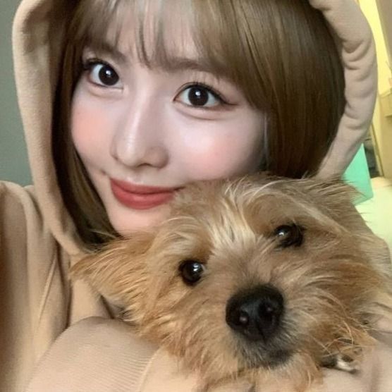 모모 (TWICE) 팬이 찍은 순간