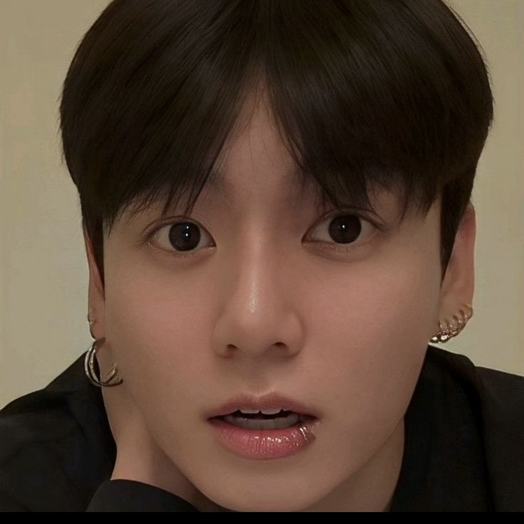 A moment captured by Jungkook (BTS)'s fan