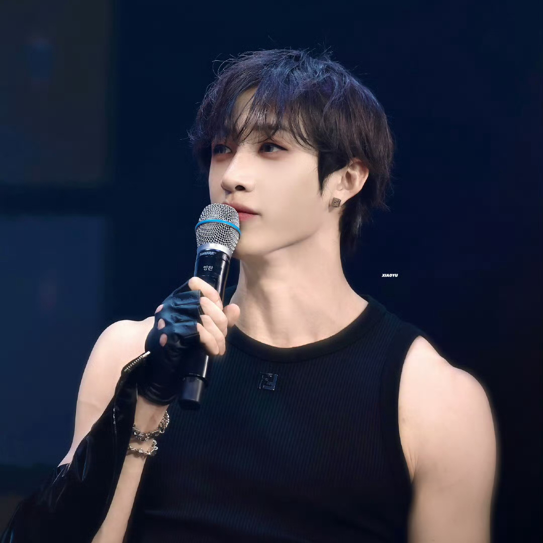 A moment captured by Bang Chan (Stray Kids)'s fan