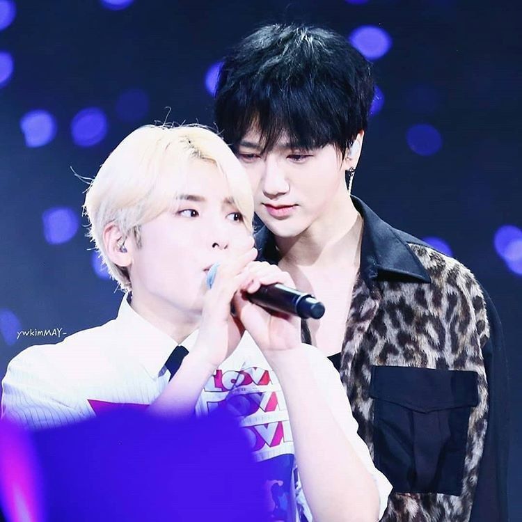 Foto aktivitas terbaru Super Junior