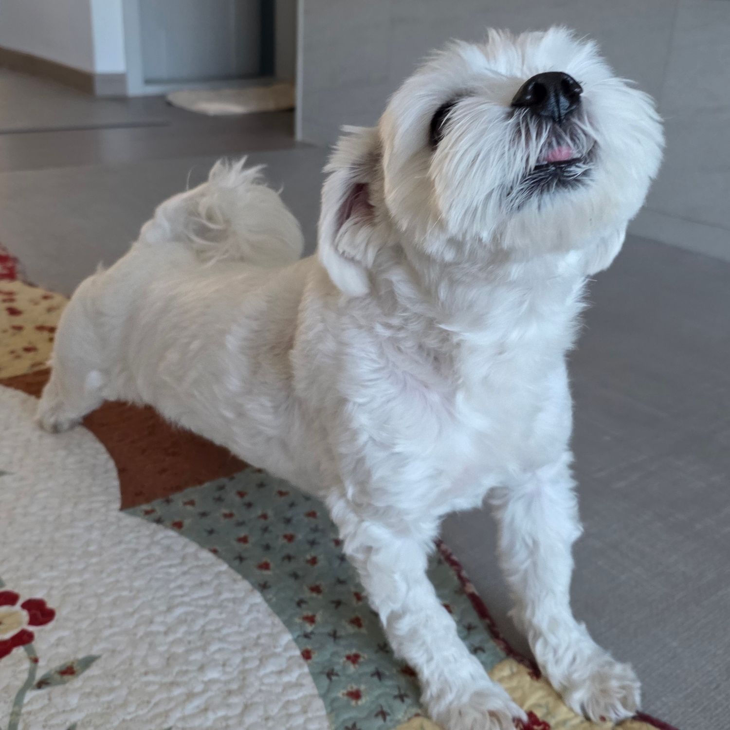 Latest photo of Jungwon (ENHYPEN)