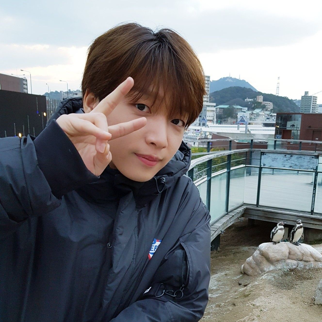 郑世云粉丝拍下的瞬间