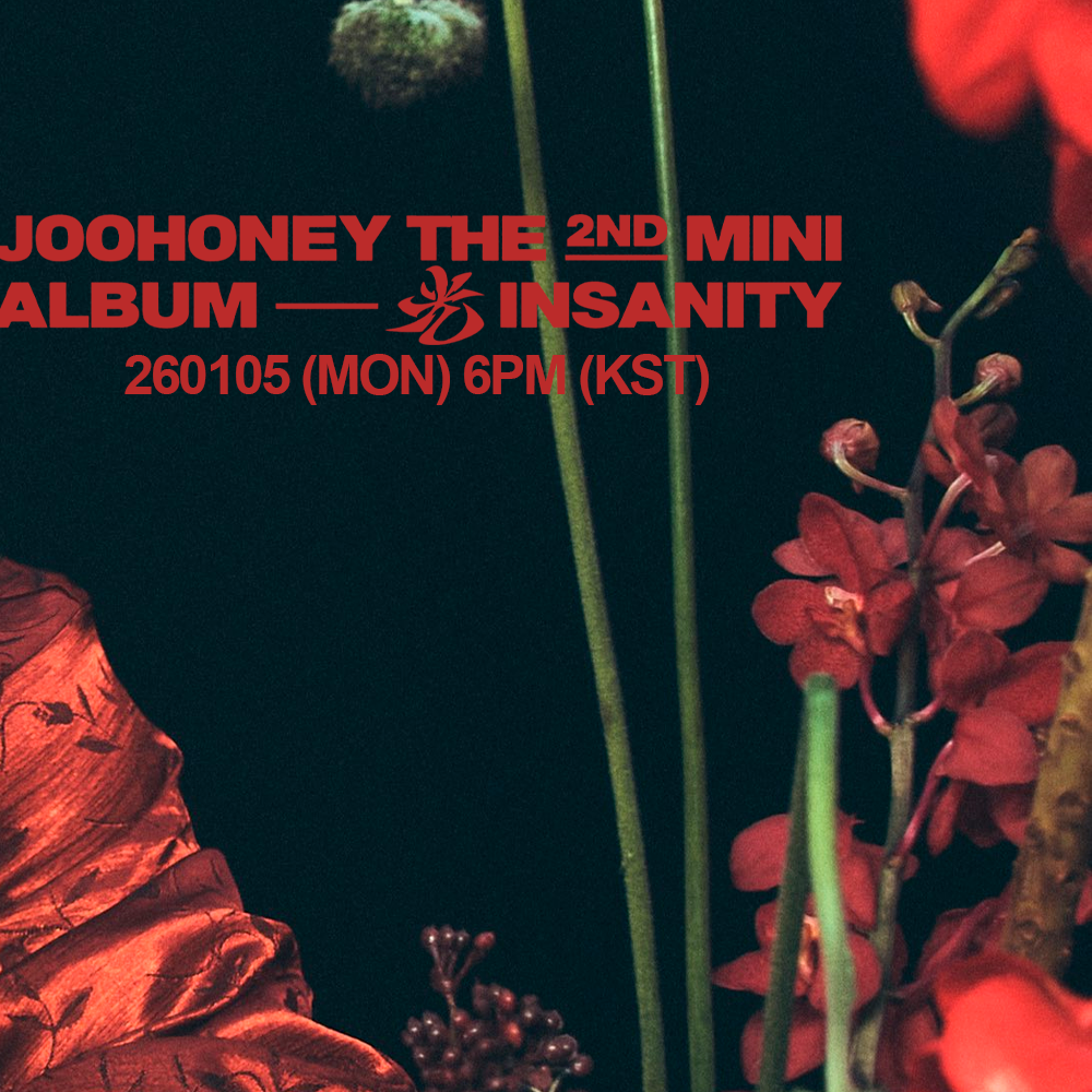 Behind-the-scenes cut of Joohoney (MONSTA X)