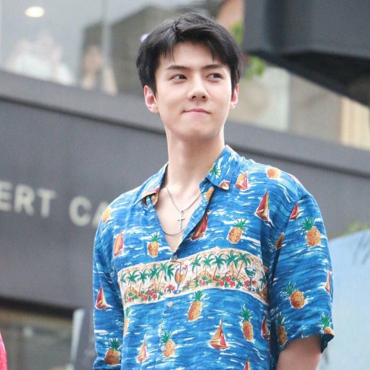 Potret di balik layar Sehun (EXO)
