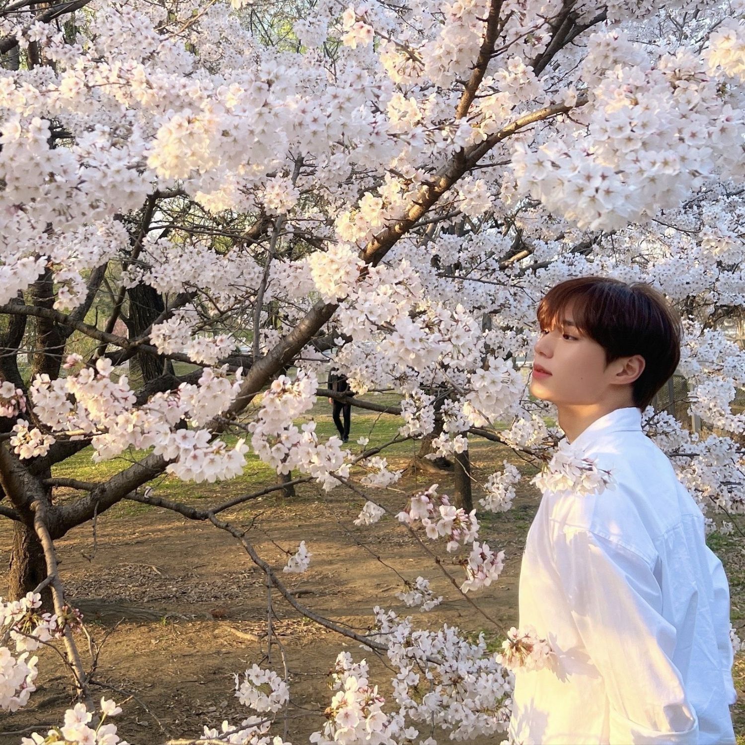 Latest photo of Kim Junseo (ALPHA DRIVE ONE)