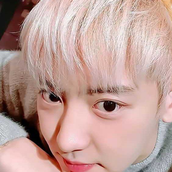 Momen yang diabadikan oleh penggemar Chanyeol (EXO)