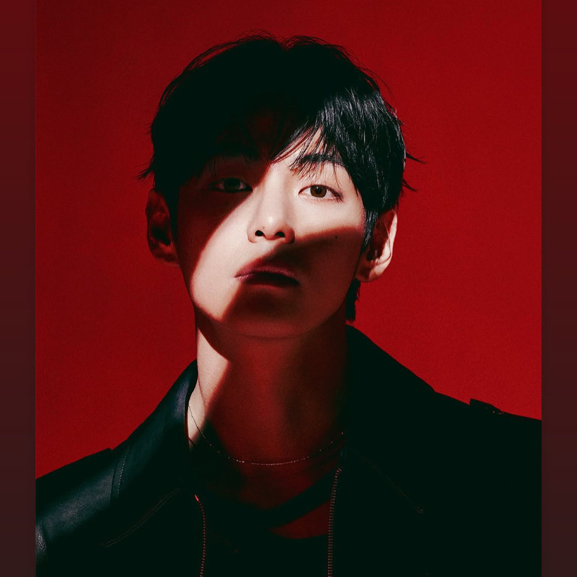 뷔 (방탄소년단) 팬이 찍은 순간