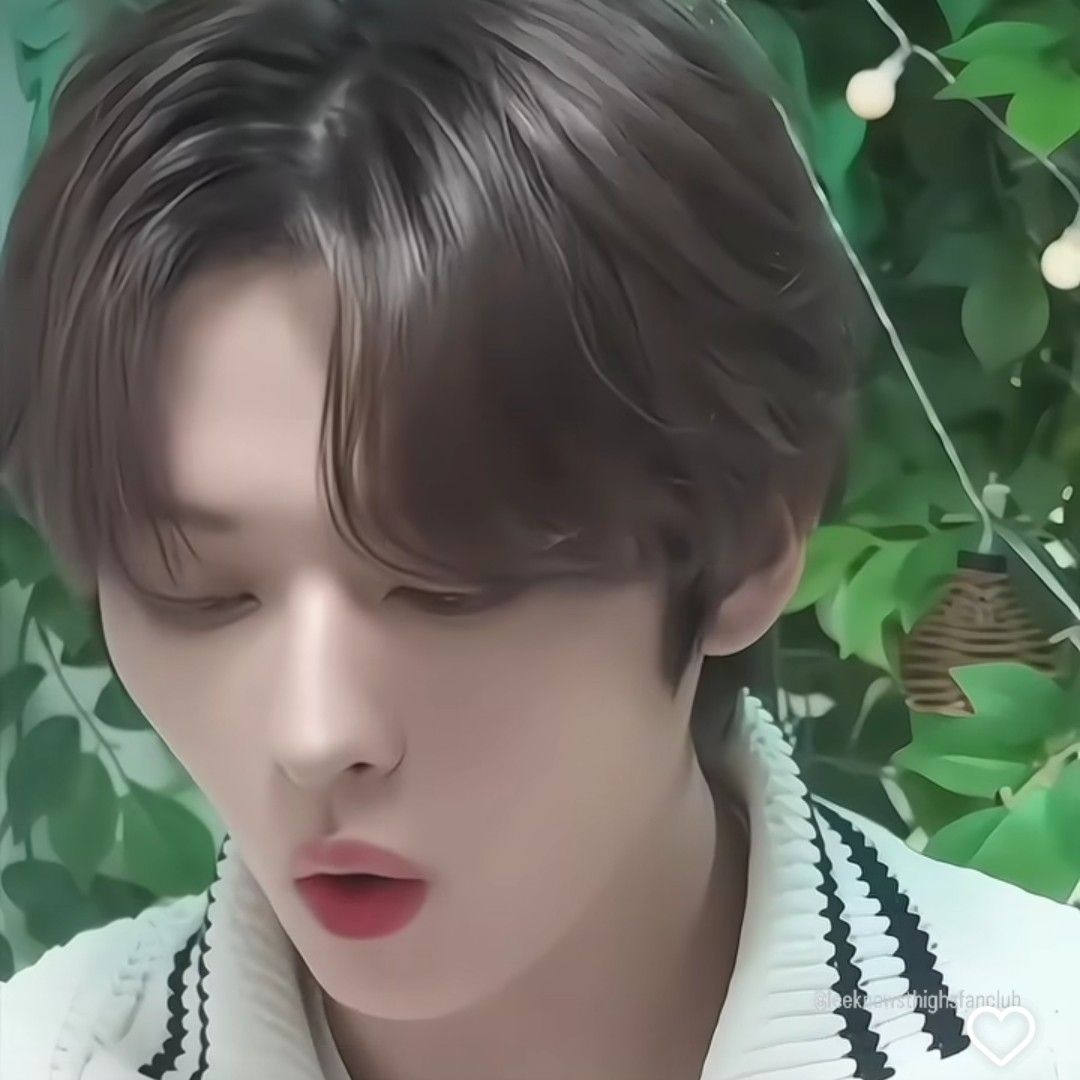 Lee Know (Stray Kids)的最新照片