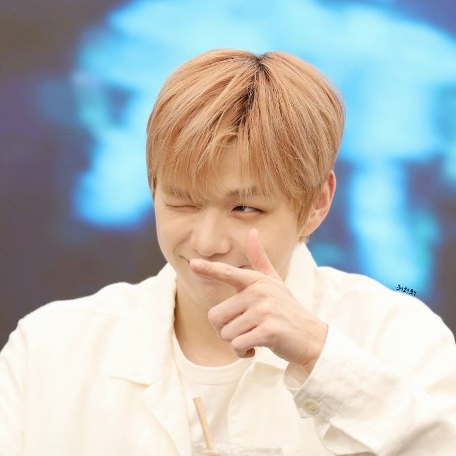 강다니엘 팬이 찍은 순간