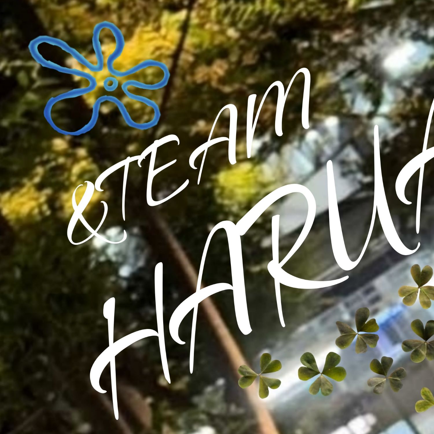 Latest photo of Harua (&TEAM)