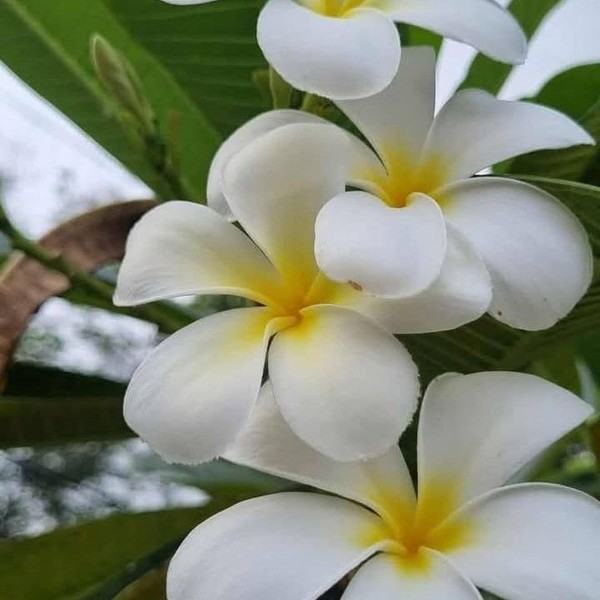 Best moment chosen by Xiao Ting (Kep1er) fandom