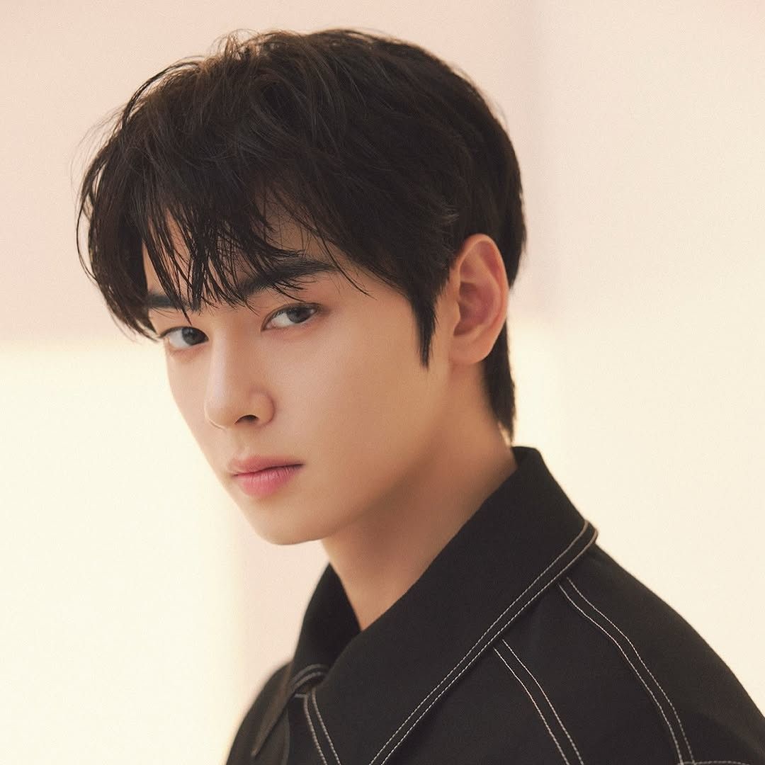 A moment captured by Eunwoo (ASTRO)'s fan