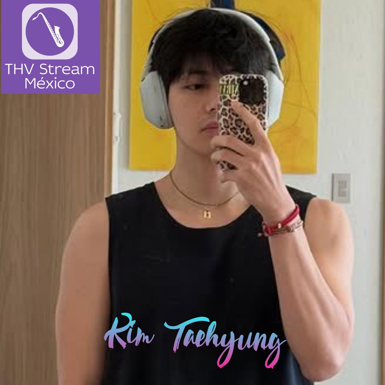 뷔 (방탄소년단) 팬이 찍은 순간