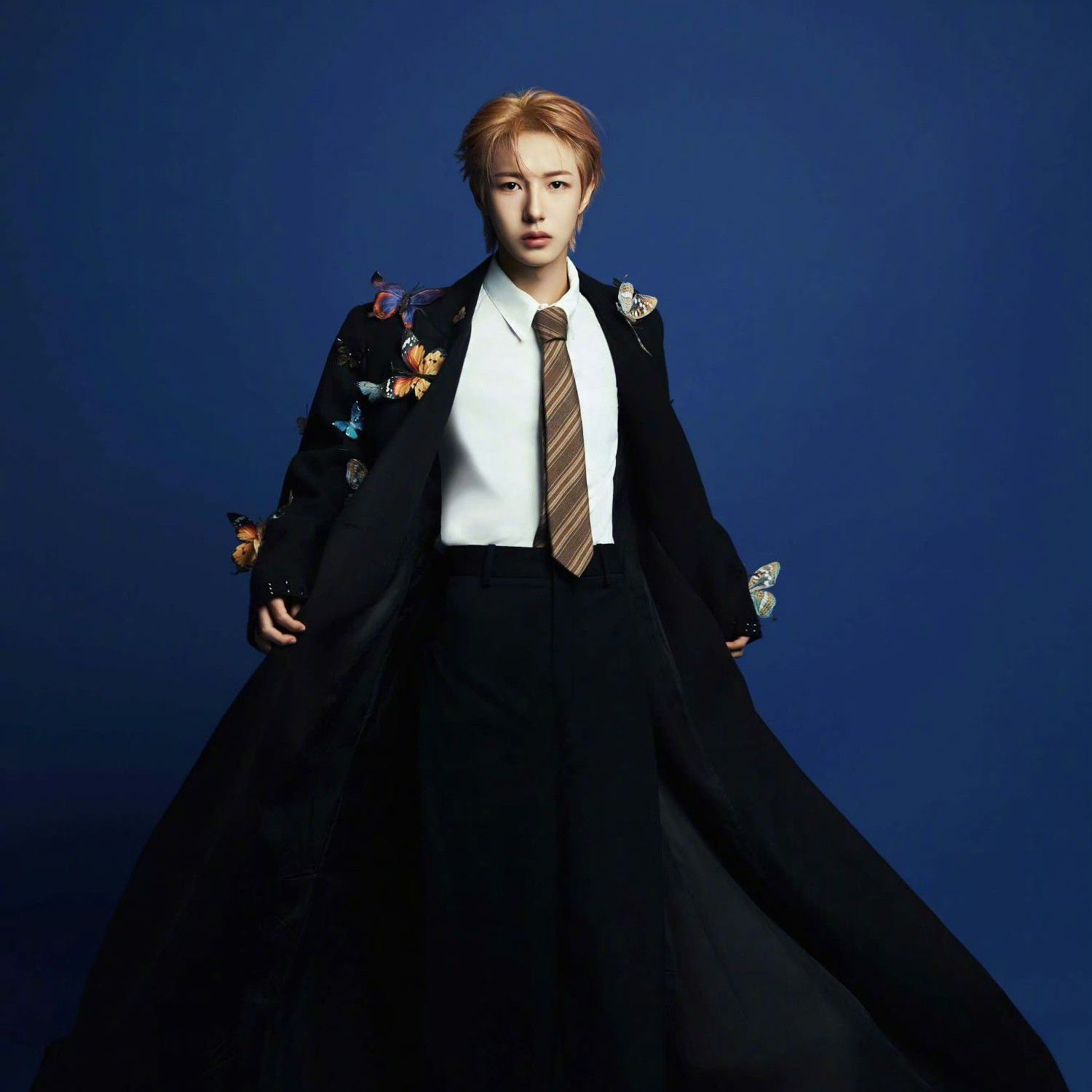 NCT DREAM ロンジュン 40cm ロンミャン sumflowerさま専用 NCT Dream ロンジュン ロンジュン - Wikipedia